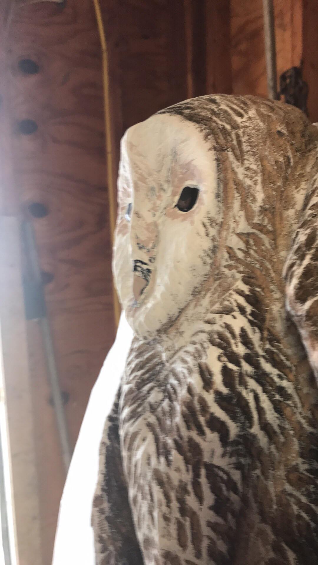 Chainsaw Carving Owl